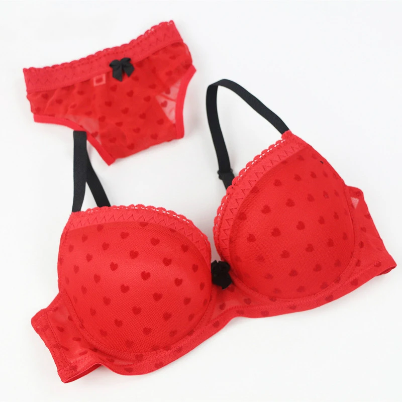 

2019 Ladies Sexy Bud Bra Set Women Lace Bra Set Sexy Push Up Padded Lace Bras and Brief Set N00083