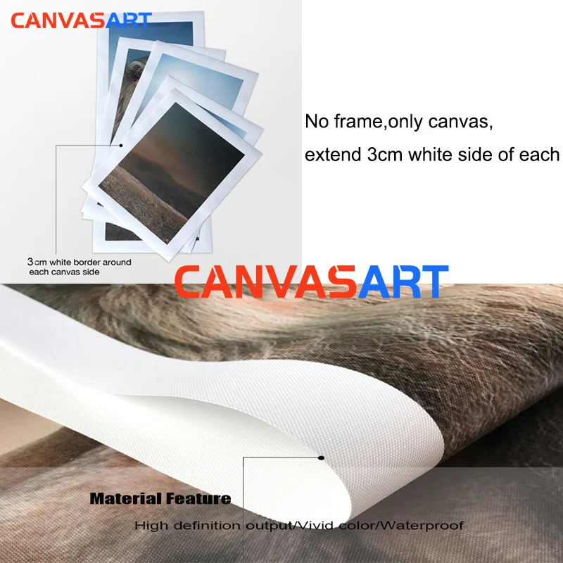 Canvas Art Anime One Piece Zoro Poster Manga Painting Wall Room Decoration | Дом и сад