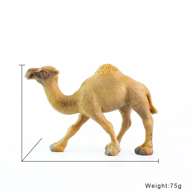 Wiben Camel сафари дикое сафари дикая природа дромедари Модель Коллекция для детей Детские игрушки Подарки на день рождения - Цвет: DromedaryCamel