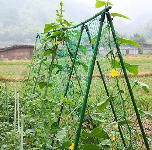 Сетка для выращивания растений для альпинизма, овощей и фруктов, лозы и Veggie, сетка для восхождения растений
