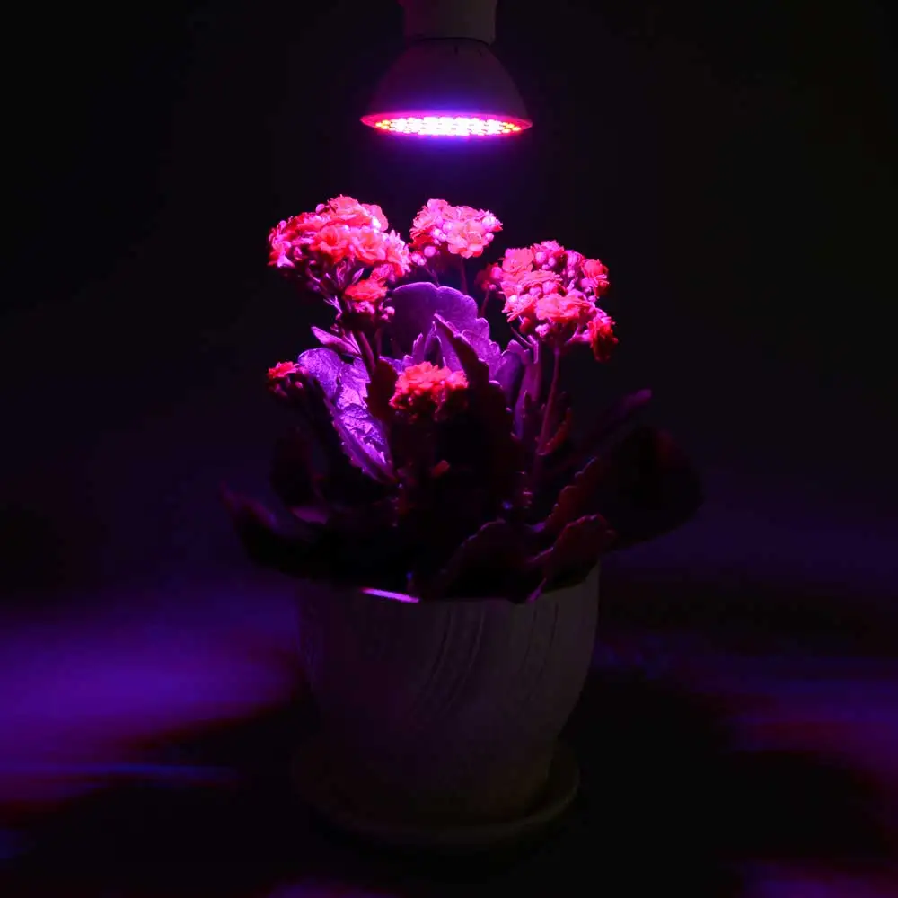 6 Вт светодиодный Grow light 106 светодиодный s smd3528 чип имитация солнечного света стимулирование роста растений E27 85-265 v красный синий свет гидропоники овощей лампы