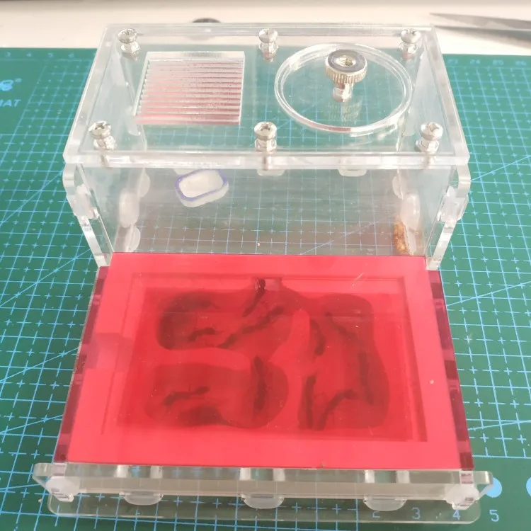 Муравьиное плоское гнездо для балкона гипсокартон клетка насекомых муравьиная