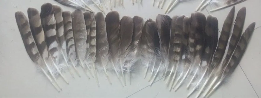 Новинка! Натуральные орлиные листья 6 8 дюймов длина 15 20 см шт.|natural eagle feathers|eagle