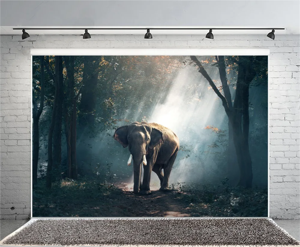 Laeacco Dark Forest Shine Pathway Elephant Scene Baby Photography Backgrounds Customized Photographic Backdrops For Photo Studio |