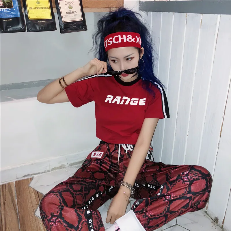 2019 Новый Harajuku Хип хоп Винтаж Змея питона узор танцевальные тренировочные брюки