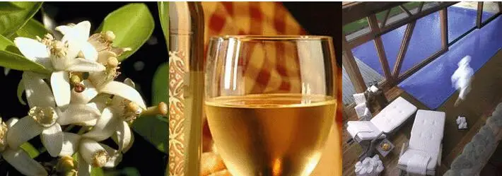 Эссенция для отбеливания и борьбы с прыщами 40 г|essence|essence 4 |