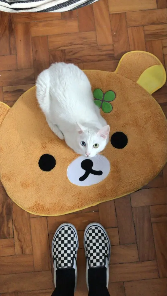 Размер: 79X68 см Rilakkuma ковер чудесный, милый медведь так мягкий ковер коврик для спальни коврик ковер для гостиной коврик