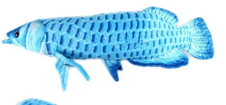 

Stuffed plush 60cm blue colour Gold Arowana fish plush toy doll gift w1569