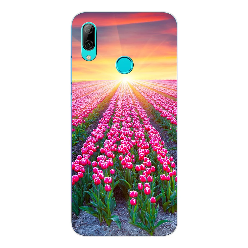for Coque Huawei P Smart 2019 Case Cover Fundas Soft Silicone For PSmart Phone 6.21&quot POT-LX3 Bumper Capa |