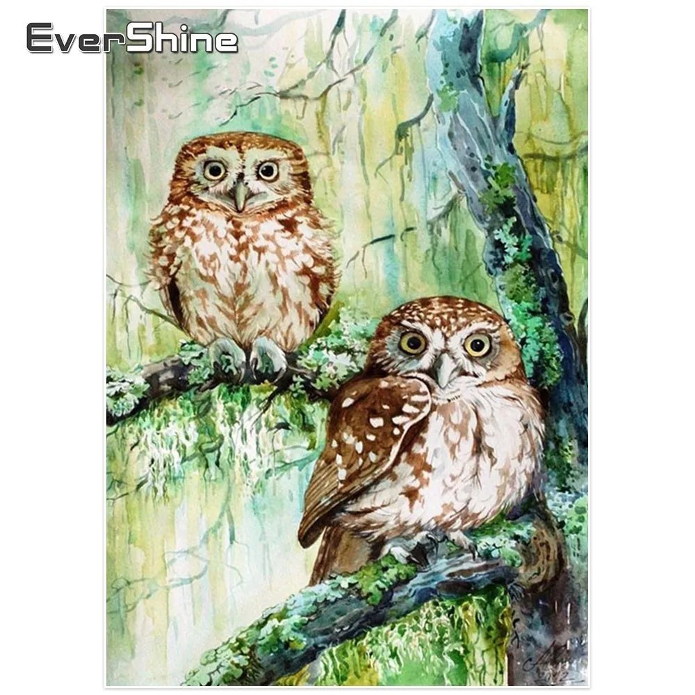 EverShine 5D DIY алмаз живопись полный круглый Животные Сова фотографии со стразами