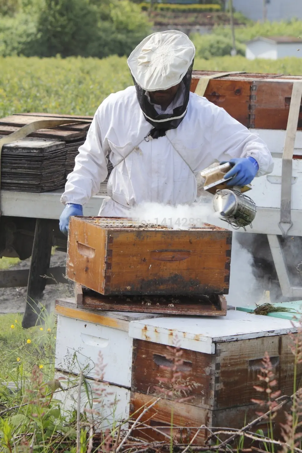 Bee Hive Smoker Stainless Steel with Heat Shield Beekeeping Tool Equipment D-2048 | Дом и сад