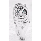 Полный SquareRound дрель 5D DIY алмазная живопись белый тигр в снегу 3D Вышивка крестом мозаика домашний декор ZH