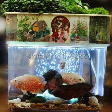 

DIY AQUAPONICS system fish tank with plants pump and connecting hose