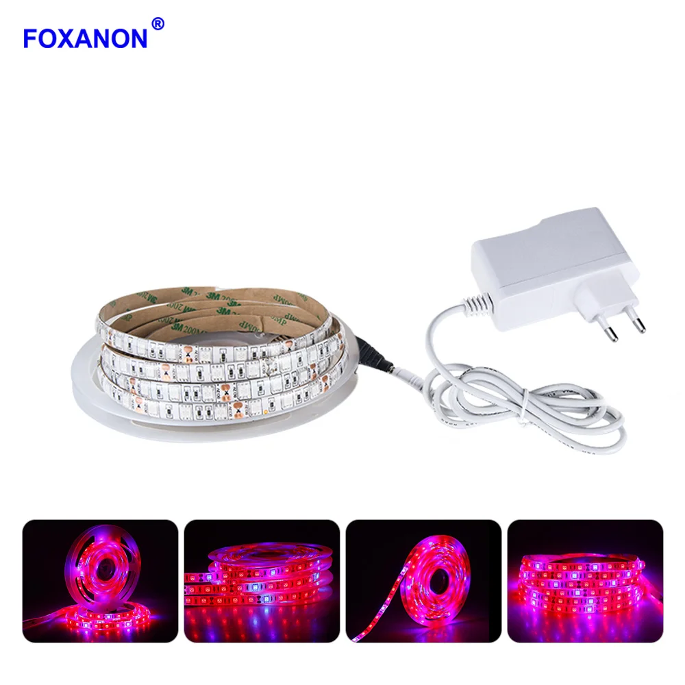 

Foxanon Full Spectrum Led Grow Light 300 LEDs 5M Phyto Lamps Grow Strip Lights With Power Switch Fitolampy For Plants Hydroponic