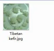 10g Tibetan kefir x 10 грамм набор Тибетский кефир xuelianjun - Цвет: 10g Tibetan kefir x
