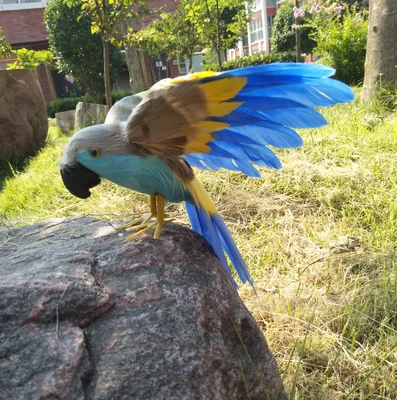 colourful feathers parrot 16x28cm spreading wings artificial bird handicraft,prop,home garden decoration gift p2742 simulation parrot large 40x48cm spreading wings feathers parrot toy model home decoration gift h1123