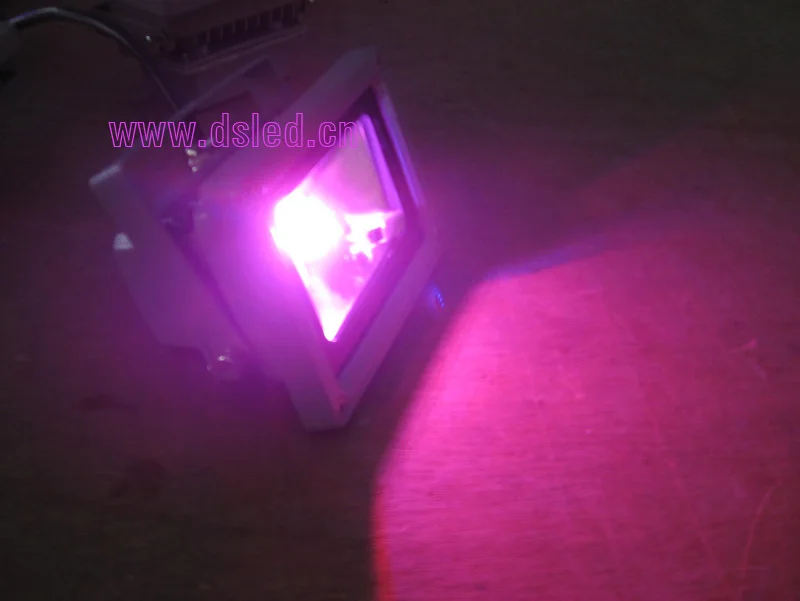 Бесплатная доставка! 10 Вт светодиодный RGB прожектор Светодиодный 220 В переменного