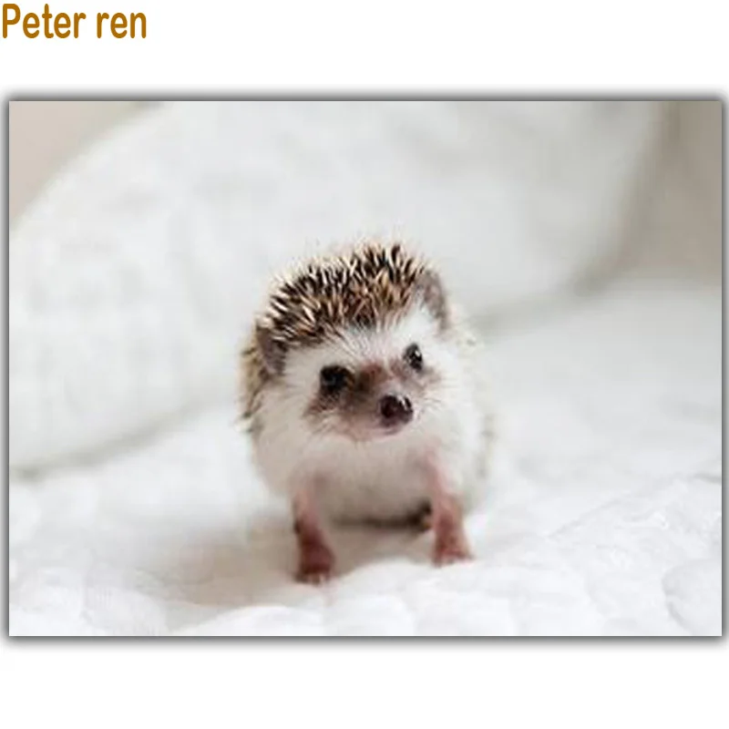 Набор для алмазной вышивки Питер Рен|diamond painting|diy diamond paintingcross stitch |