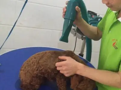 Новый LT1090C-H 4 электрическая Шестерня сушилки скорость двойной мотор