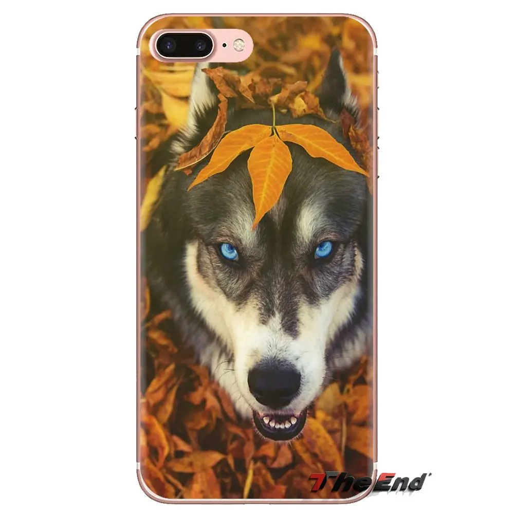 Soft Transparent Cases For Huawei Mate Honor 4C 5C 5X 6X 7 7A 7C 8 9 10 8C 8X 20 Lite Pro Siberian Husky Dog puppies Art Pattern |