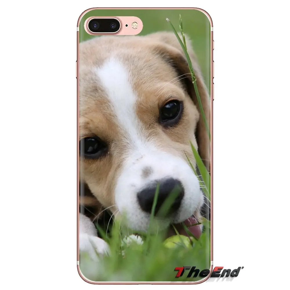 Beagle собачий щенок для Xiaomi Mi4 Mi5 Mi5S Mi6 Mi A1 A2 5X 6X 8 9 Lite SE Pro Max Mix 2 3 2S Прозрачные мягкие