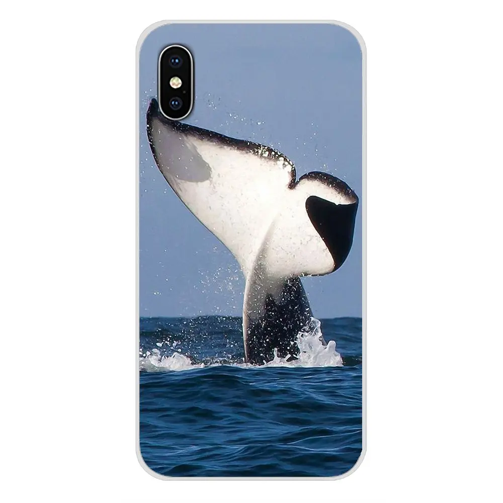 Transparent Soft TPU Case Shark Fish Funny Surfing For Huawei Nova 2 3 2i 3i Y6 Y7 Y9 Prime Pro GR3 GR5 2017 2018 2019 Y5II Y6II | Мобильные