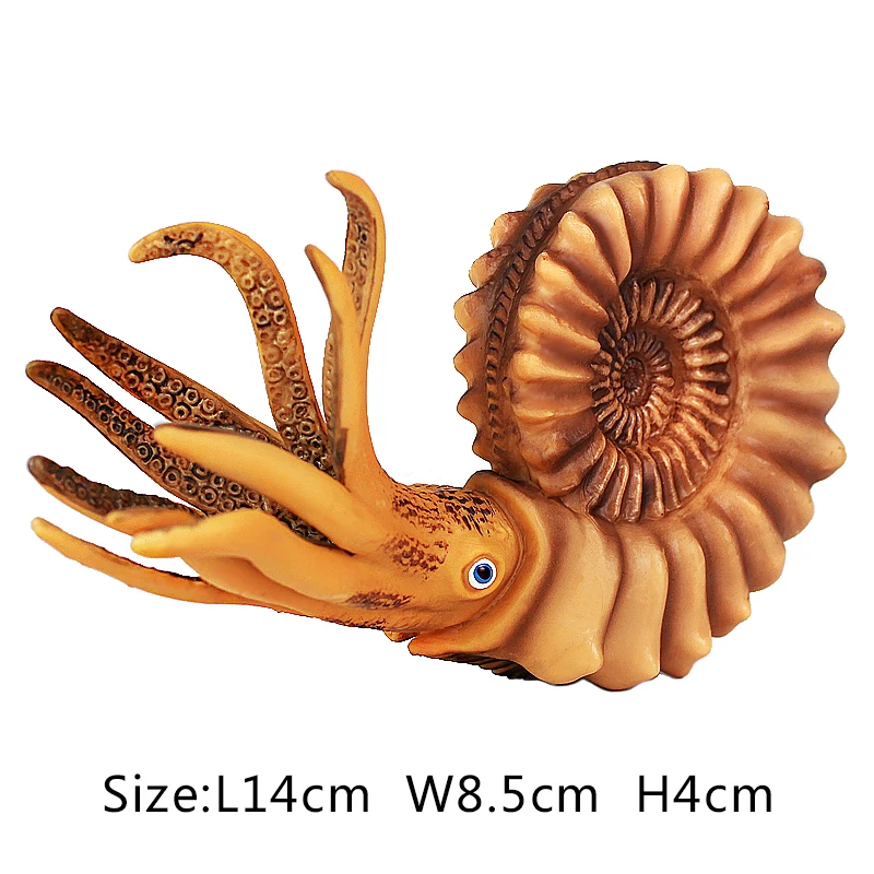 Модель игрушечного животного Wiben Sea Life игрушка Nautilus Фигурки игрушек обучающие и