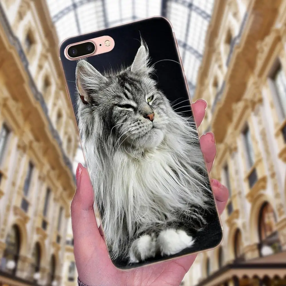 Чехол из ТПУ для Apple iPhone X XS Max XR 4 4S 5 5C 5S SE 6 6S 7 8 Plus | Мобильные телефоны и аксессуары