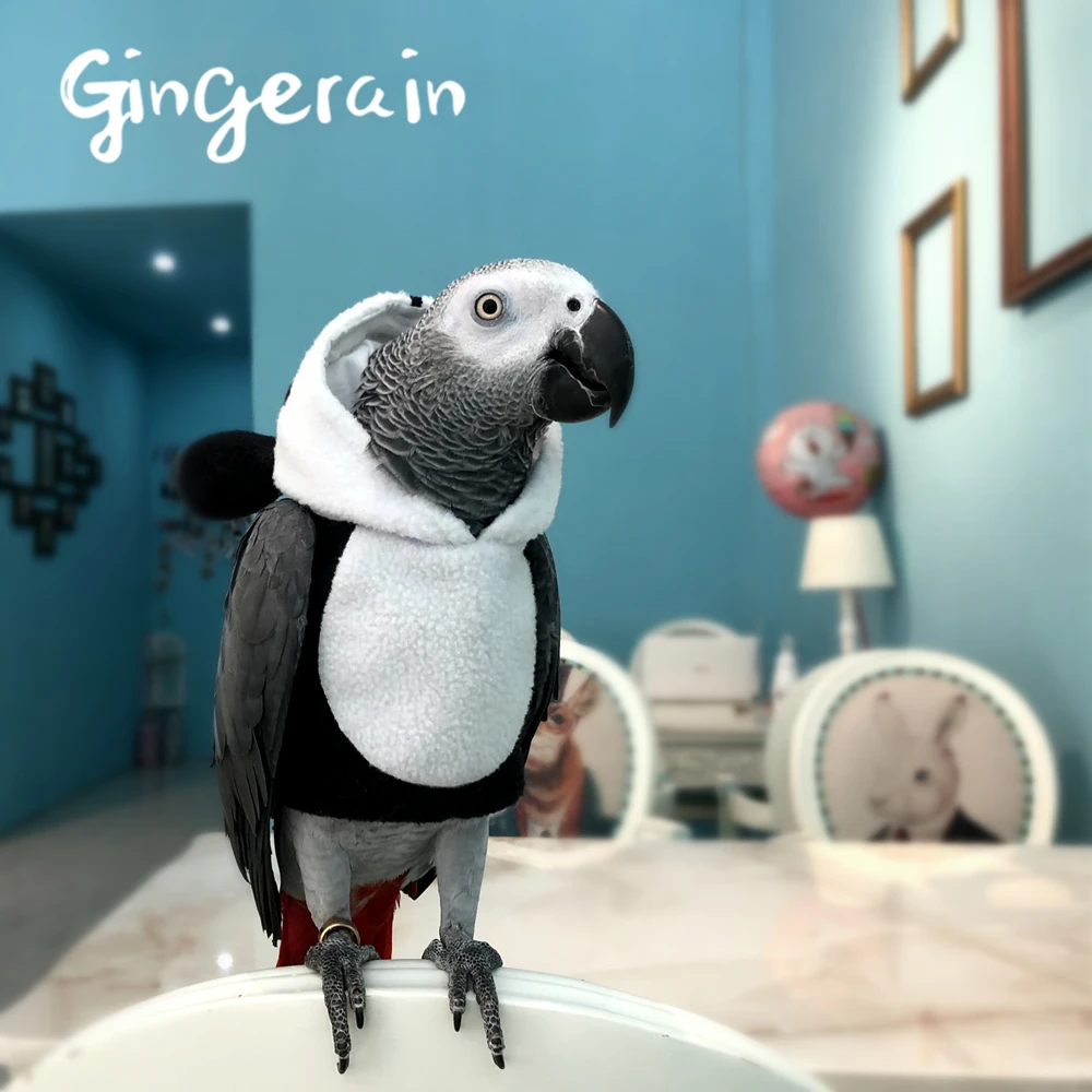 Gingerain одежда с птицами попугаями пандой оригинальная ручная работа свитер