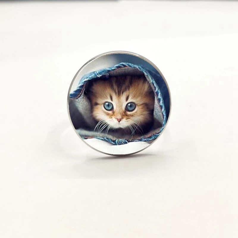 Новое модное кольцо-подвеска с котом стекло для ювелирных изделий кольцо |