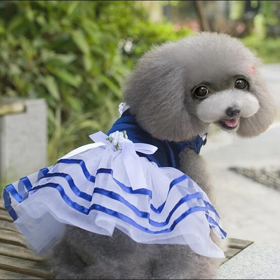 

Cute Navy Costume Dog clothes Gorgeous Pet Clothes Dress Yorkshire Chihuahua dog clothing