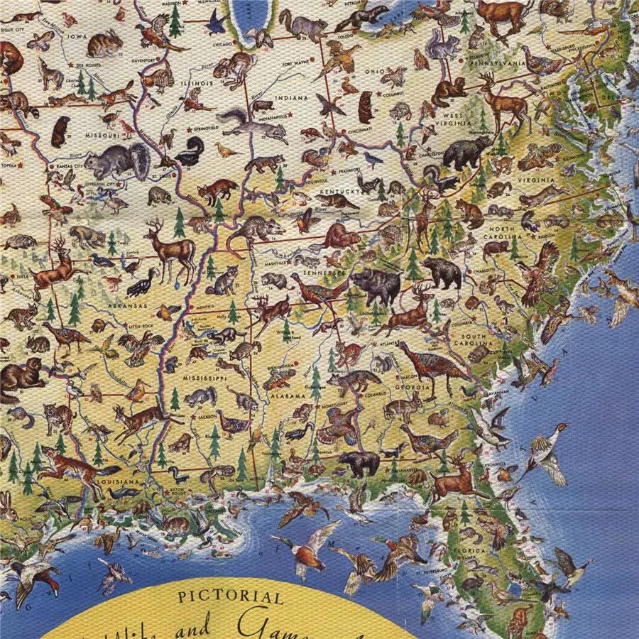 Antique Map of the United States Various Animals Detailed Introduction Canvas Drawing Print Wall Art Sticker School Home Decor | Дом и сад