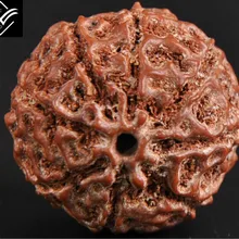 Браслет с бусинами Будды Rudraksha 8 сегментов 23 мм x 10|bracelet leather|bracelet