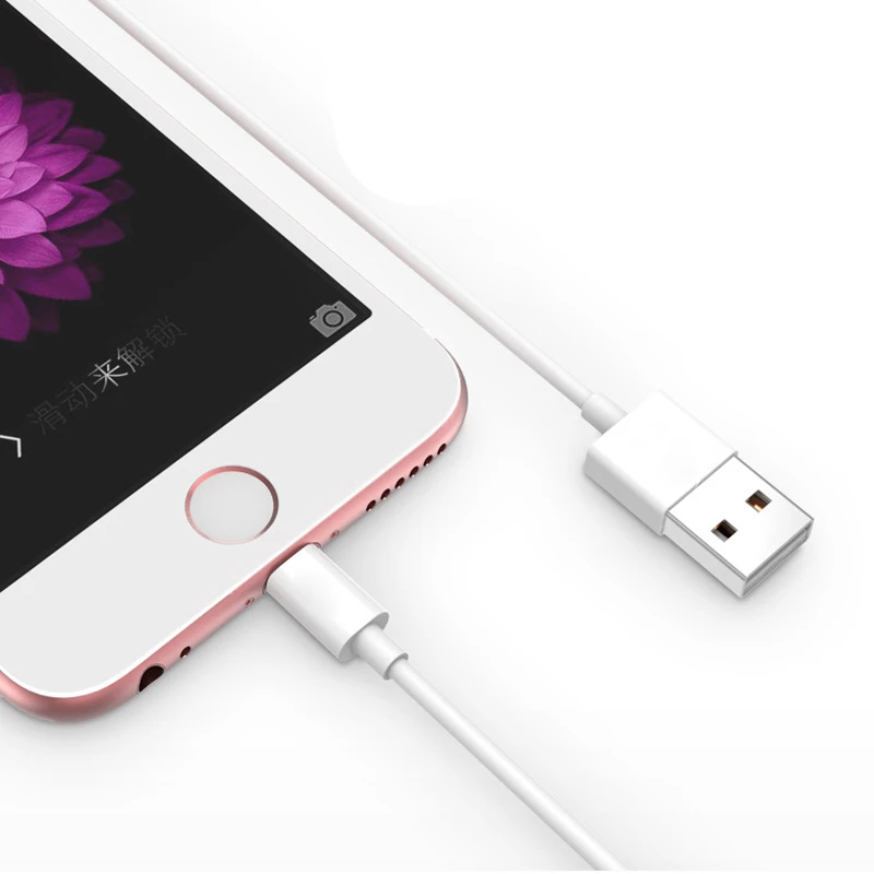 1 м 8 контактный usb кабель для iPhone X 7 6 6S SE 5 5S iPad синхронизации данных и