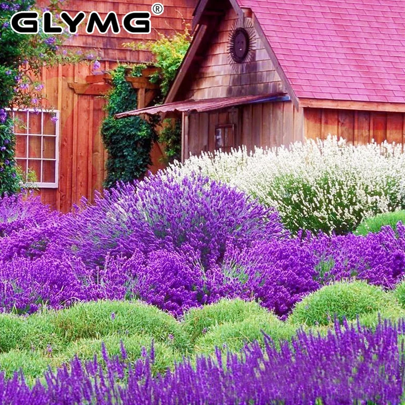 

Новый Diy Алмазная Картина Вышивка крестом фиолетовый Лавандовый домик Алмазная вышивка квадратная полная дрель мозаика картина красивый д...