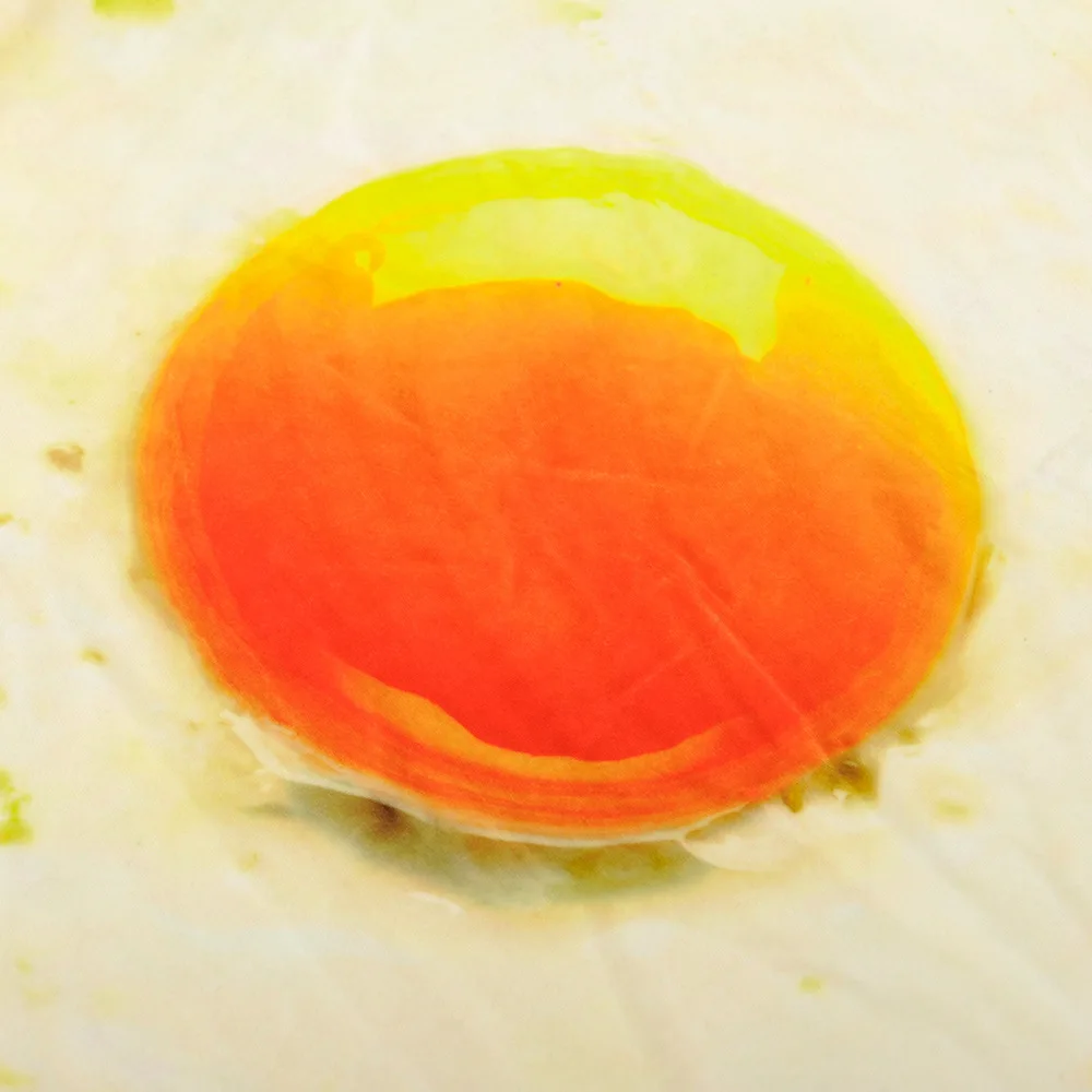 Яйцо пашот флис собака Одеяло Кошка Собака крышка автомобиля собак Мат Подушка