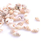 Природные спиральные бусины раковины, 19-25 мм, Фотоэлементы 100 шт. TRS0126