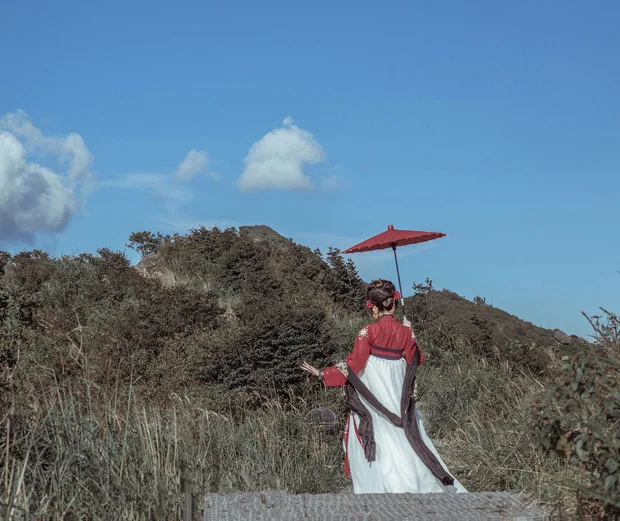 Hanfu платье женщины/дамы элегантный красный Hanfu одежда китайские традиционные костюмы древний Китай Народная танцевальная юбка DQL349