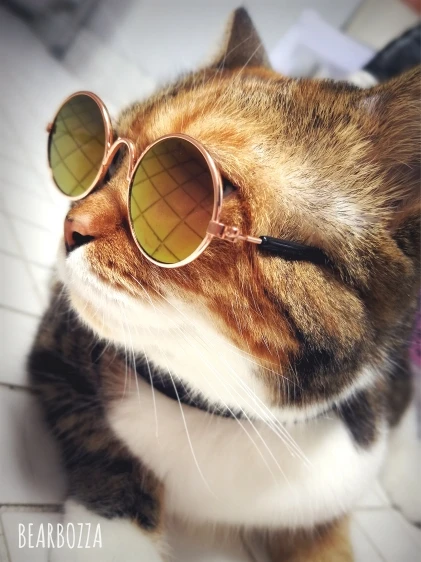 Hoomall 1 шт. милые очки для кошек товары для домашних животных для маленьких собак кошачий глаз-одежда для собак Солнцезащитные очки Фото аксессуары в виде животных собачьи очки