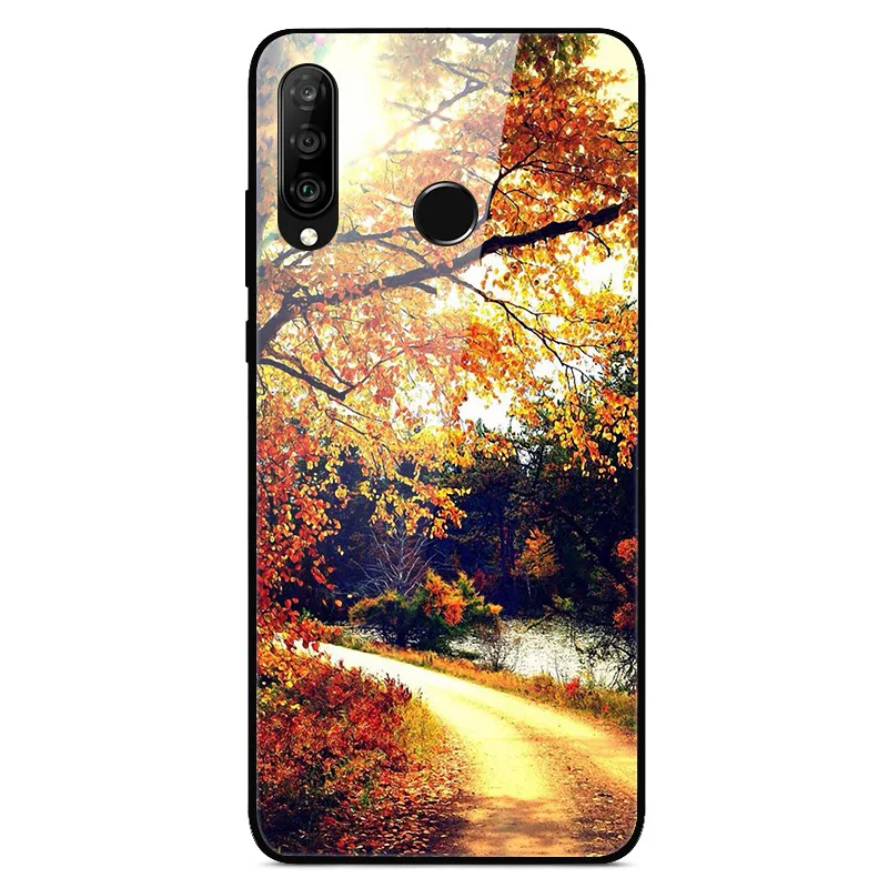 14 Для huawei P30 Lite чехол из закаленного стекла с принтом задняя крышка Жесткий чехол для Coque huawei P30 Lite чехол для телефона fundas P 30 лайт Pro - Цвет: 14