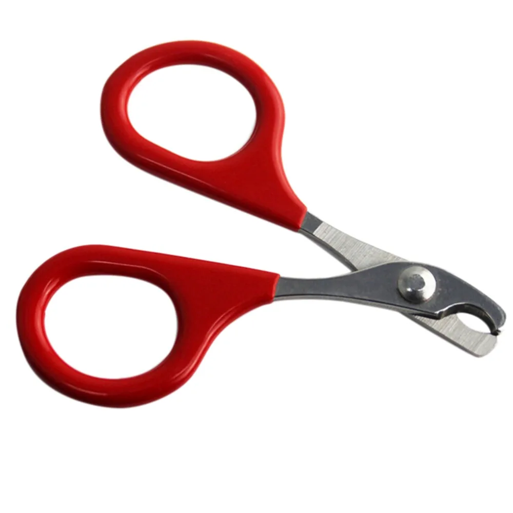 1 Pcs Red Pet Animal Dog Cat Nail Clippers Scissors pet Toe Care Grooming Trimmer Clipper Stainless steel | Дом и сад