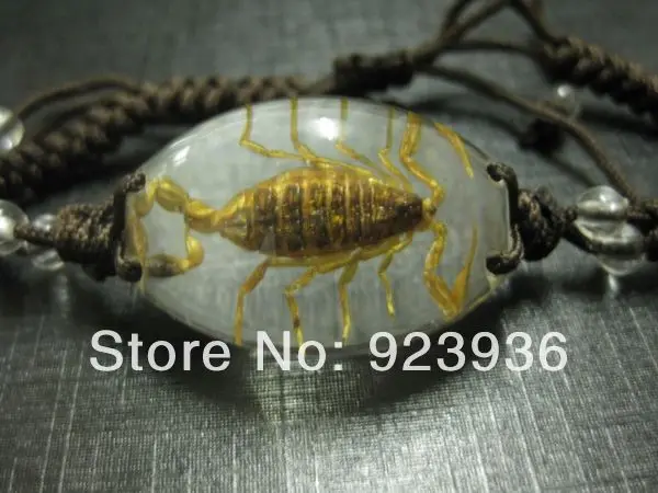 

10pcs Mixed Lot gold scorpion real insect clear beades handmade bracelet wholesale price fashion jewelry