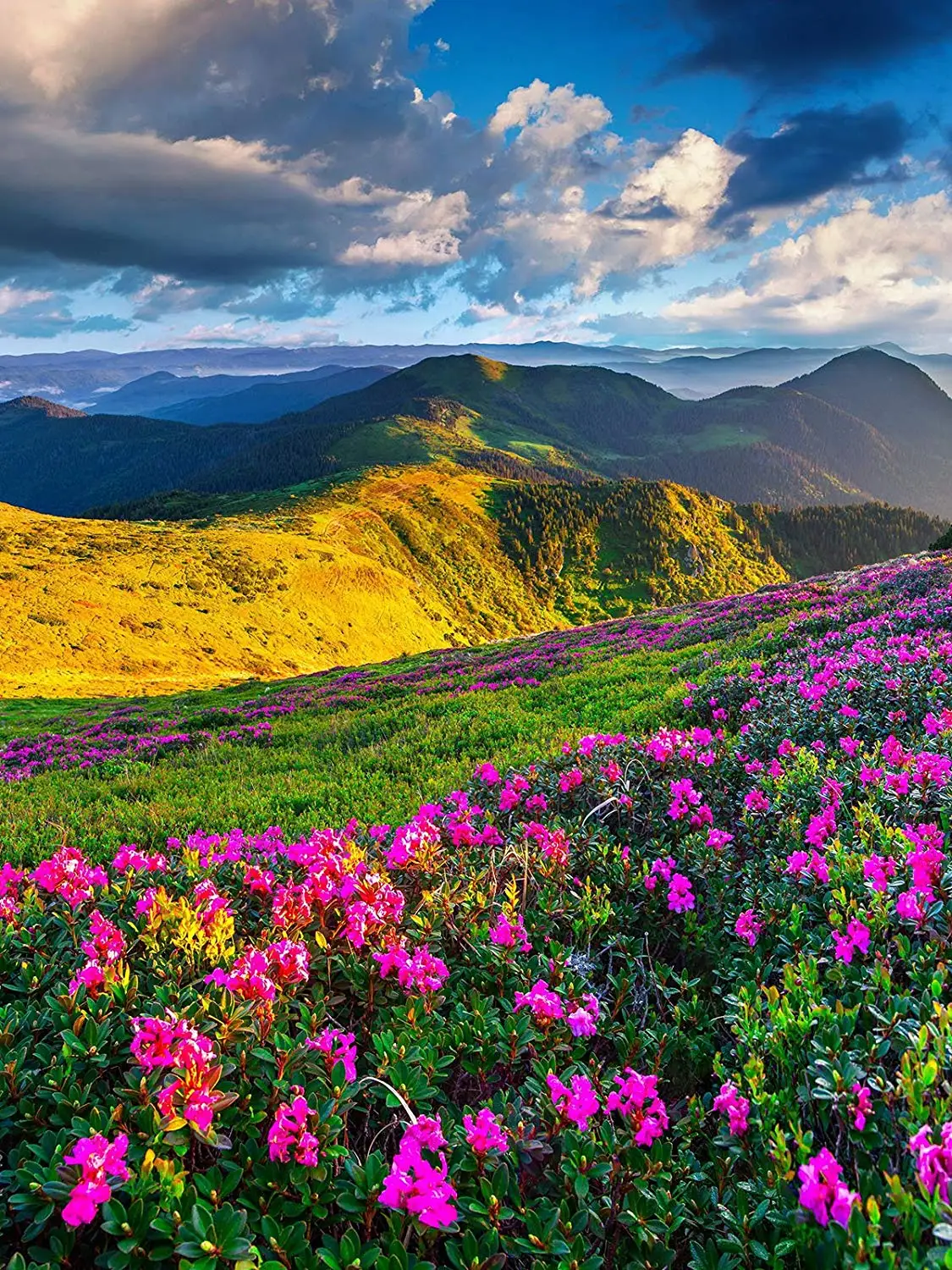 Горы небо трава облака фотография Фон Azalea пейзаж фон студия реквизит стены