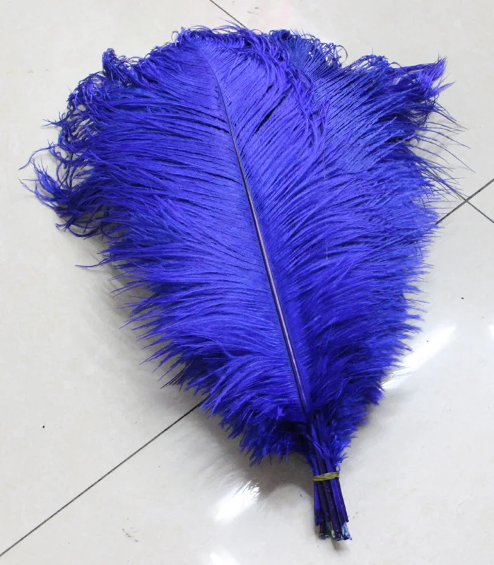 

Hot! Free shipping manufacturers selling 50 PCS blue ostrich feathers 8-10inches/20-25cm
