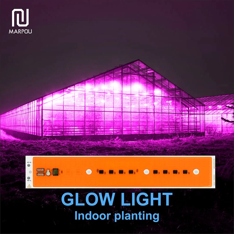 Светодиодный прожектор полного спектра 10 шт. холодный теплый белый IC без