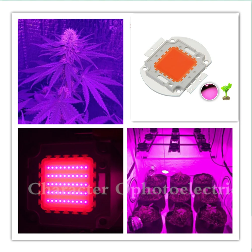 3 Вт 10 20 30 50 100 150 200 нм светодиодный чип полного спектра для гидропоники|led grow chip 3w|3w