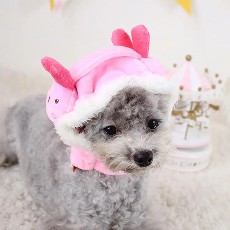 Шапка для домашних питомцев мультяшный кролик щенок Цыпленок шапка коррекции