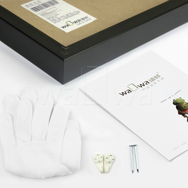 Удача лягушка современный минималистичный фото стена креативное Сочетание