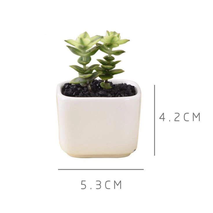 

TECHOME Classic White Ceramic Flower Pot Small Square Green Plant Holders Flower Container Pot Desk Balcony Mini Plant Pot