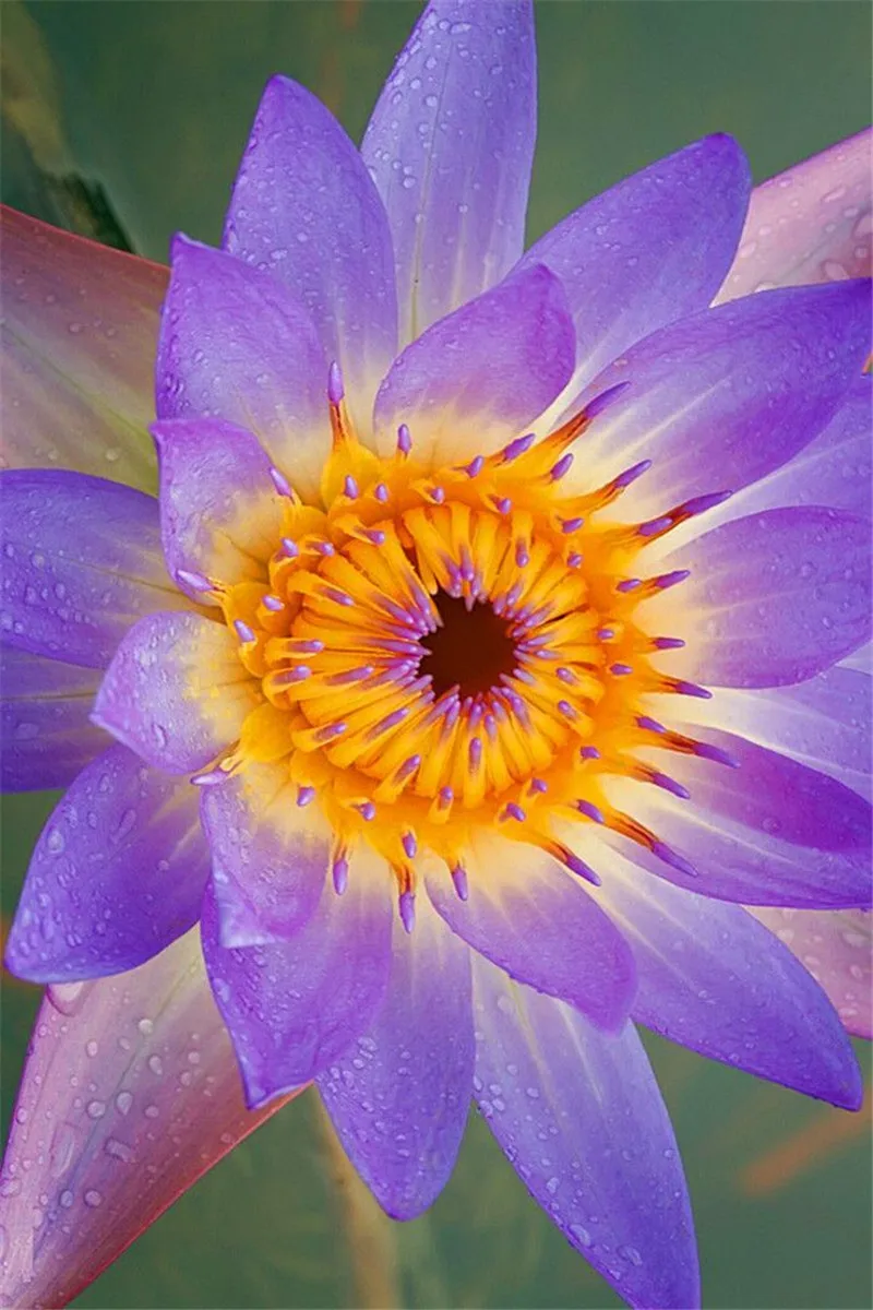 Алмазная живопись сделай сам алмазная вышивка крестиком набор из кристаллов |